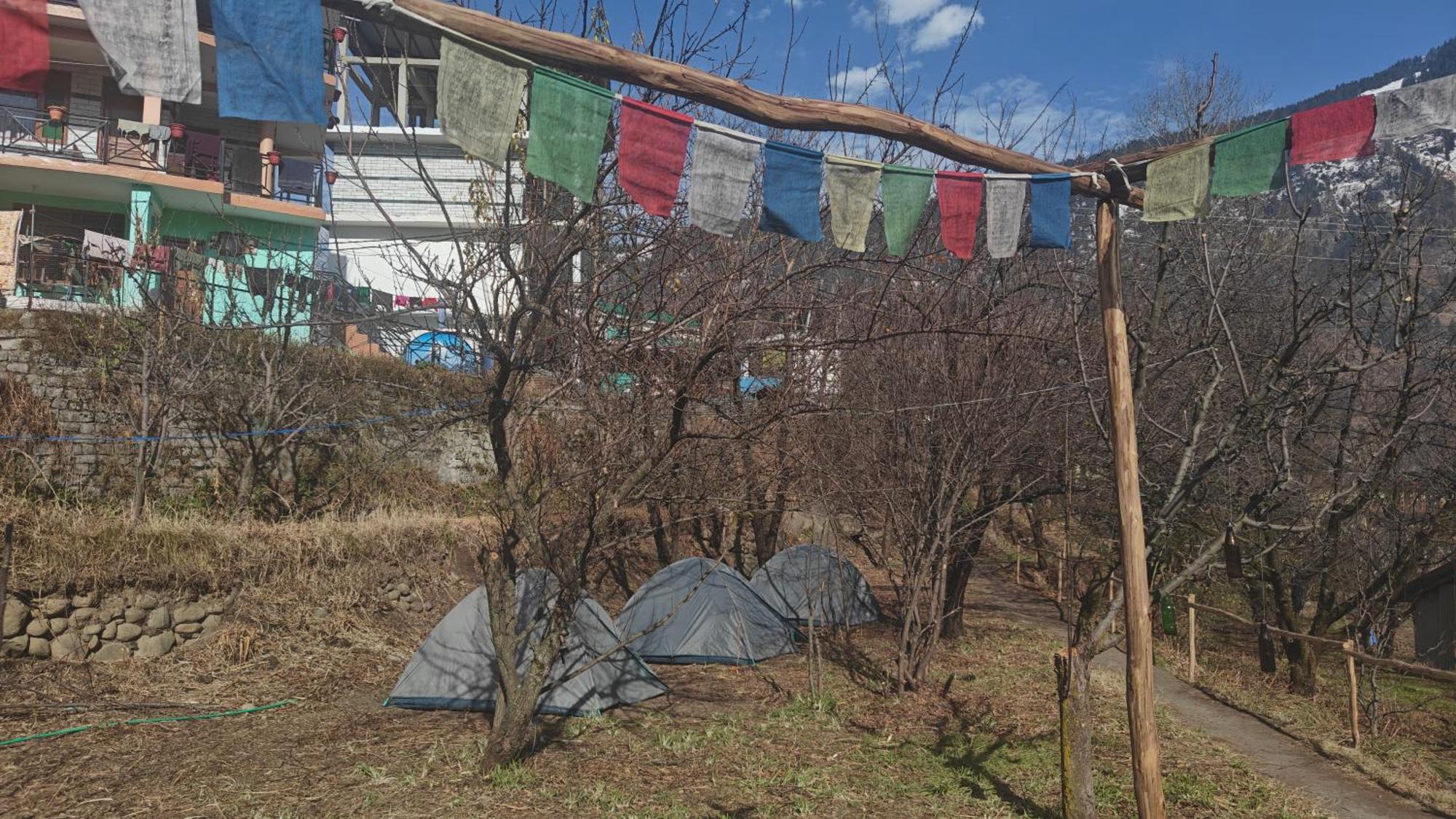 Хостел Basecamp Manali Номер фото